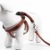 The ammunition set is soft, reflective, leash 120 x 2 cm, Osh 46-69 cm, brown