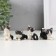 Polystone souvenir "Black and white kitten" mix 2.2x3x4.4 cm