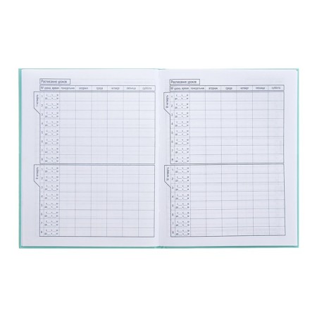 Universal diary for grades 1-11 "Bunny Mi", hard cover, glossy lamination, 40 sheets-6