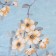 Bed linen 2 joint venture and I am Blossom 173x215cm, 175x214cm, 50x70cm-2pcs, 60g/m2, microfiber