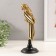 Souvenir Polystone, mirror "Parrot Ara on a bit" gold 10.5x10.5x30.5 cm