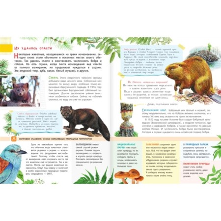 Red book for children-3