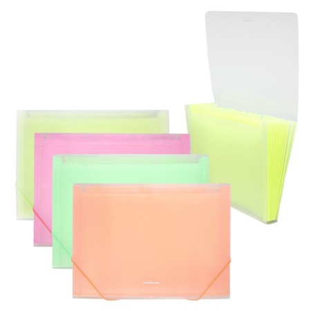 A4 cartridge folder on the 13 departments button, Erichkrause, Matt Neon, transparent plastic, mix-1