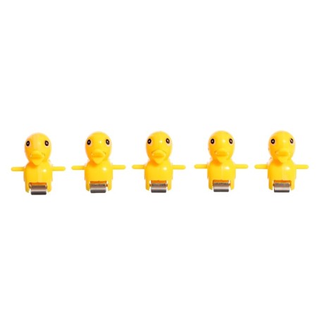 Developing toy "Duck track", light, sound, works from batteries and from the network-13
