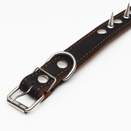 Collar leather two-layer studded, 63 x 3 cm, Osh 40-55 cm, black-3