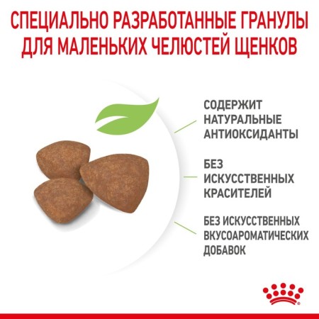Сухой корм RC Mini Puppy для щенков, 2 кг-5