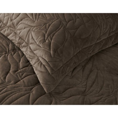 Cover with pillowcases "Gloria", size 240x260 cm, 50x70 cm-2 pcs-4