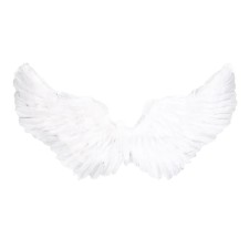 Carnival wings 35 × 80 cm