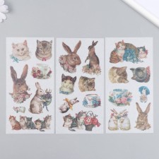 Stickers for creativity Paper 