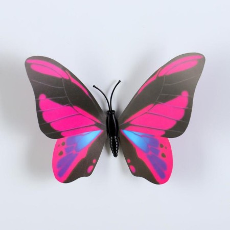 Magnet Plastic "Butterfly Polit" mix 12x7 cm-2
