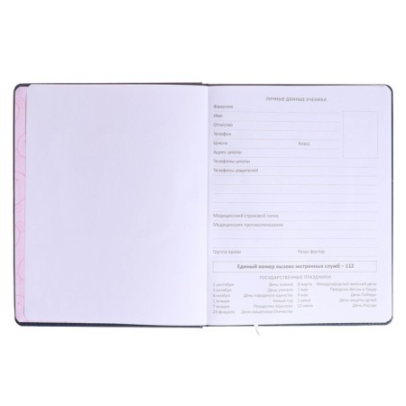 Universal diary for grade 1-11 Super Star, solid cover, artificial leather, foam rubber, lies, 80 g/m2-3