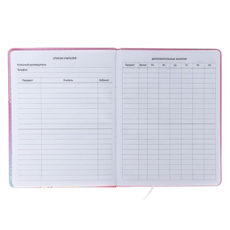 Universal diary for grade 1-11 Manga Girl, integral cover, artificial leather, silkography, lies, 80 g/m2-5