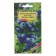 Blueberry seeds are ordinary "forest pearl", 30 pcs.