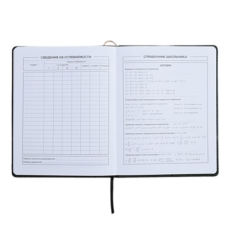 Universal Diary Grade 1-11, 48 sheets "Princess-ballerina", solid cover of artificial leather, lies, universal cheat sheet, block 80 g/m2-11