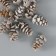 Decor for creativity "bump" set 12 pcs 2.5x1.5x1.5 cm