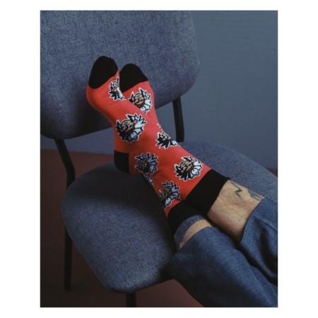 Male cotton socks Diwari Happy "Indians", size 29, red color