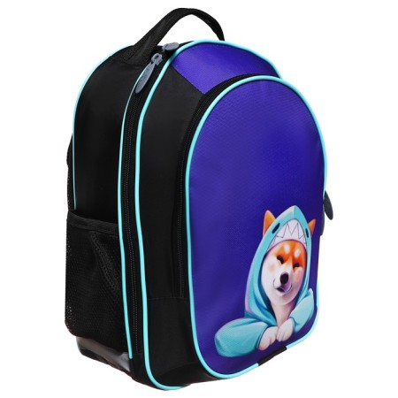 School backpack, 37 x 27 x 16 cm, ergonomic back, calligrata b "Siba"-5