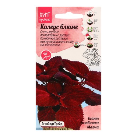 Flower seeds Koleus Bluma "Guyant Excited Magma", 10 pcs