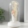 Souvenir Polystone Light "Love under the tree" MIX 10.5x10.5x19 cm