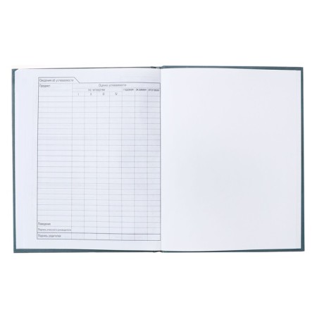 Diary solid cover 1-11 grade, Girl Power, metallic, selective varnish, 40 sheets-9