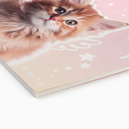 Album for drawing A4, 16 sheets on the paper clip "September 1: cats"-1