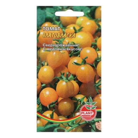 Seed Tomat "Zlatovlaska", 20 pcs