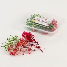 Set of dried flowers 