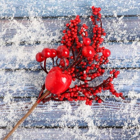 Decor "Winter charm" a twig with berries and an apple, 22 cm-2
