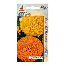 Seeds of velvets Proud Mary F1 5pcs*