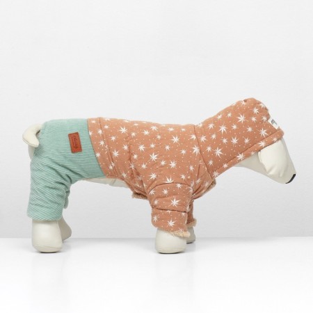 Kombinson "Walk", size M (DS 28, OG 43, Osh 30 cm, up to 6 kg), beige/mint-4