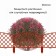 Decorative fence, 35 × 220 cm, 5 sections, plastic, terracotta, Romanika, Greengo