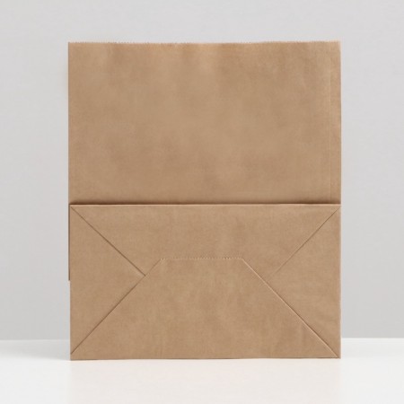 Craft package without printing, flat handle 24 x 14 x 28 cm, set 3 pcs-1