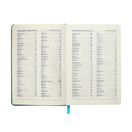Leduced Diary A5, 140l, Cage, leatherette, elastic band, yellow cut, blue-7