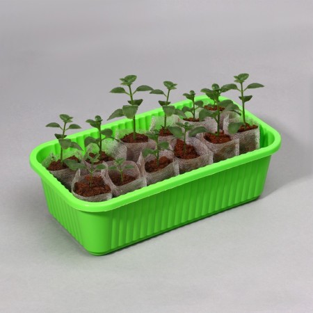 Пакет для рассады, 70 мл, 5 × 7 см, спанбонд плотностью 25 г/м², Greengo-10