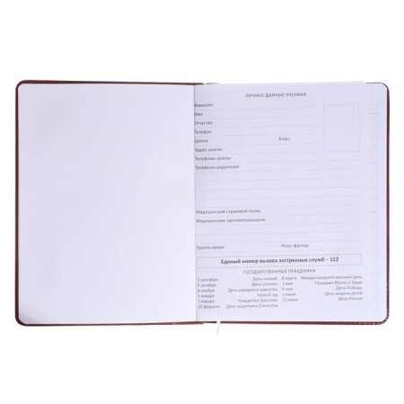 Universal diary for grade 1-11, solid cover, artificial leather, brown cover, liesse, 80 g/m2-3