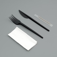 A set of disposable dishes 