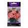 Eustoma flowers large -flowered Super Magik Eprikot, 5pcs