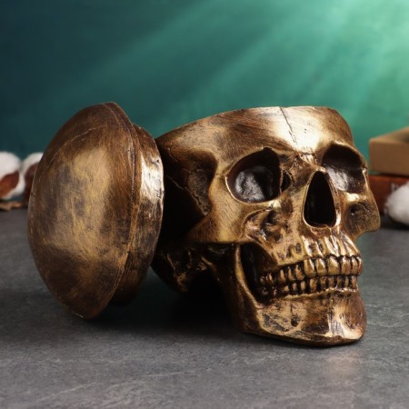 Bronze Skull Casket for Skull, 16x15x22cm-1