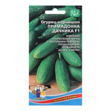 Seeds of cucumber 