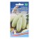 Semen zucchini "Northern Bear OD", 10 pcs