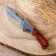 Folding knife "ENT" 16.5cm, blade 70mm/2mmm