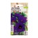 Eustoma fluids "Florida", Blue, this. Alt, c/n, 5 pcs