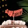 Topper Assorted "Happy Birthday", 1 pc., In the packing of 7 different toppers, give beautifully
