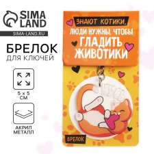 Брелок для ключей акриловый "Знают котики", 10 х 5 см