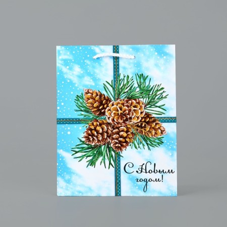 New Year's Gift Laminated Gift "Happy New Year", cones, MS 18 x 23 x 8 cm, New Year-1