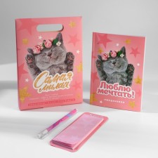 Gift set Diary, paper block and the pen “The smallest”