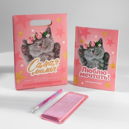Gift set Diary, paper block and the pen “The smallest”