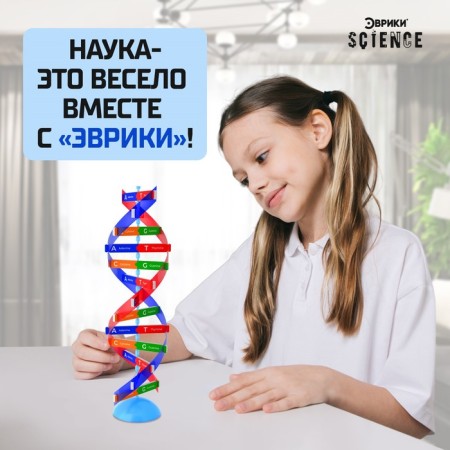 Set for experiments "Molecule DNA"-4