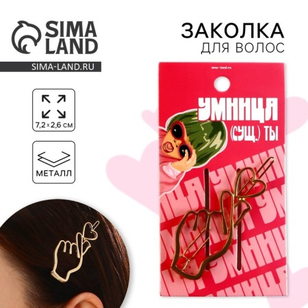 Hair hairpin "Clever", 6 x 2 cm