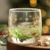 New Year! New Year's glass glass "Winter bouquet", 310 ml